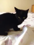 Sebastian