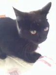 Sebastian