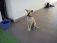 Bernardo