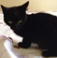 Sebastian