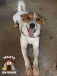Duke