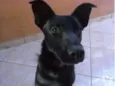 Tobias
