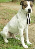 BOX - Uma gracinha!