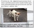 Princesa  castrada