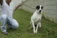 INOCÊNCIA, a mais p