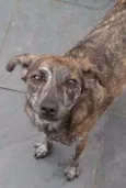 Tasha