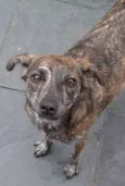 Tasha