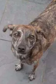 Tasha