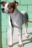 BOX - Uma gracinha!