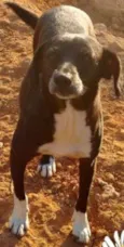 Cy