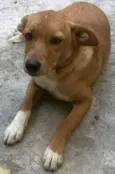 princesa