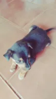 --