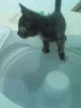 Mia