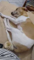 Mag