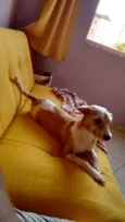 Mag