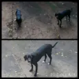 Não tem