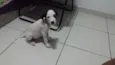 VITINHA