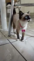 Valentina