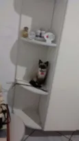 Valentina