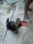 luck