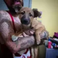 Peludinha, 4 meses