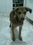 Scooby