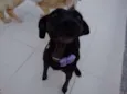 PRETINHA
