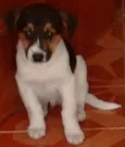 Não tem