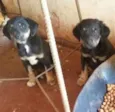 Nao possui