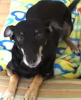 Nikita