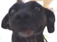 PRETINHA