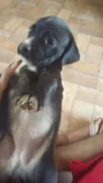 não possui nome