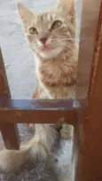 Mel