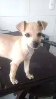 Lucy