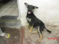 VINY