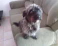 Tobi