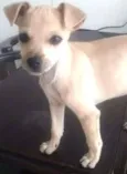 Lucy