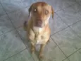 Lola 02