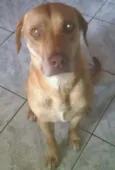 Lola 02