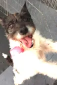 Lola