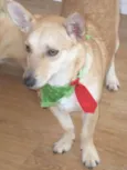 Marley