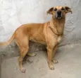 Não há nome.