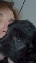 Malu