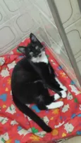 Mila