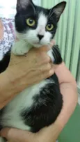 Lua