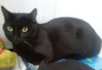 Nina