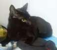 Nina