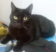 Nina