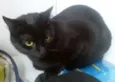 Nina