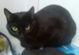 Nina
